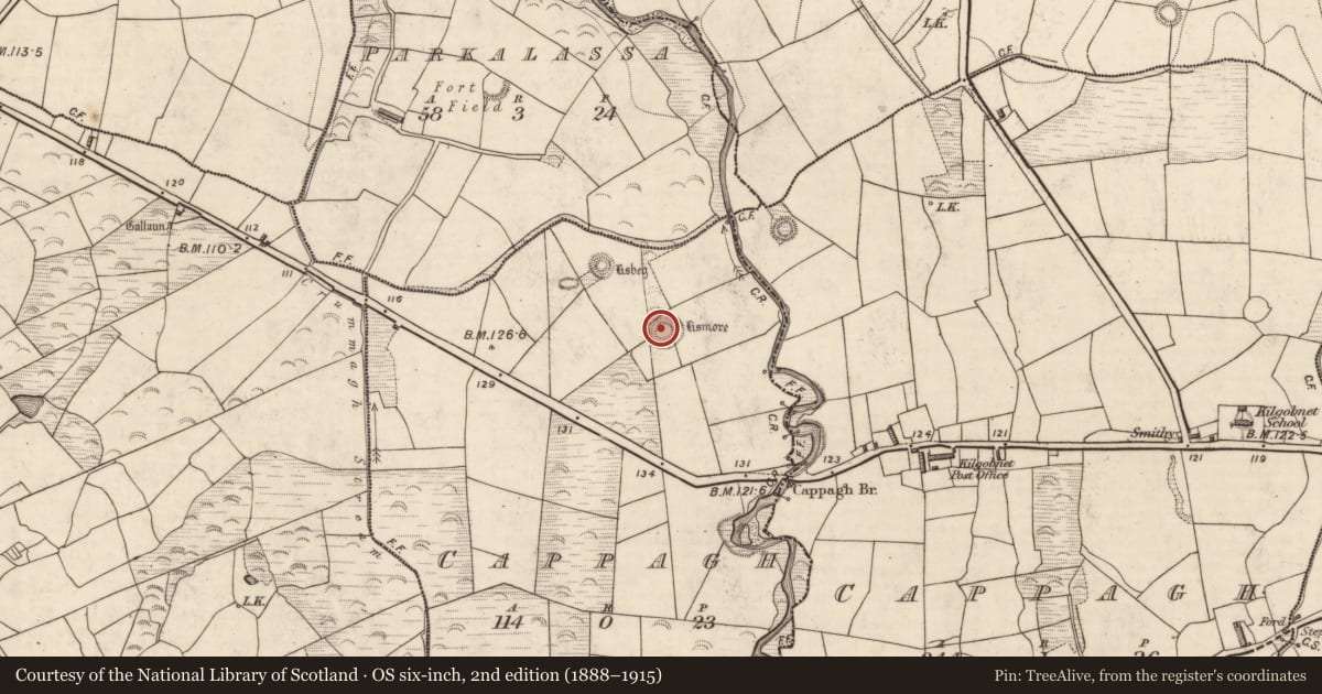 Ordnance Survey six-inch map, 2nd edition (1888–1915) covering the location of Ringfort - rath, Cappagh (Dunkerron North By., Killoglin Par.), County Kerry, with a pin at the register's coordinates
