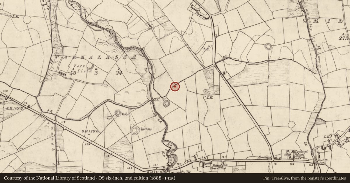 Ordnance Survey six-inch map, 2nd edition (1888–1915) covering the location of Enclosure, Cappagh (Dunkerron North By., Killoglin Par.), County Kerry, with a pin at the register's coordinates
