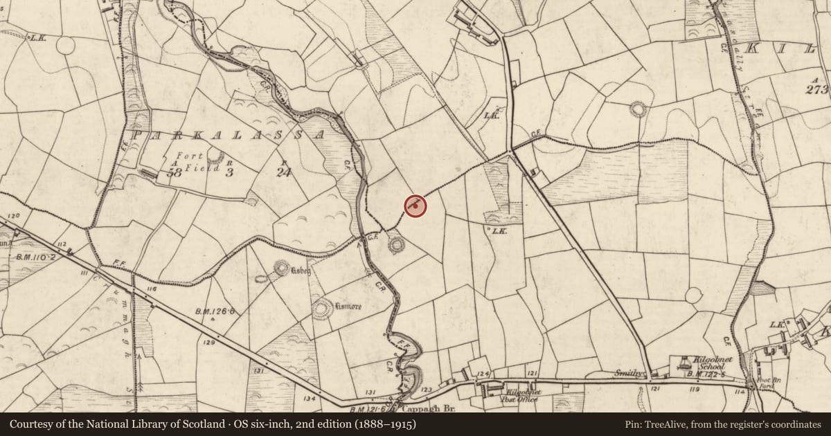 Ordnance Survey six-inch map, 2nd edition (1888–1915) covering the location of Enclosure, Cappagh (Dunkerron North By., Killoglin Par.), County Kerry, with a pin at the register's coordinates