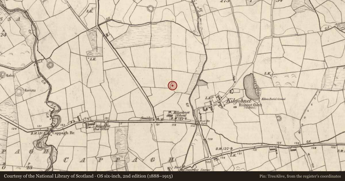 Ordnance Survey six-inch map, 2nd edition (1888–1915) covering the location of Souterrain, Cappagh (Dunkerron North By., Killoglin Par.), County Kerry, with a pin at the register's coordinates