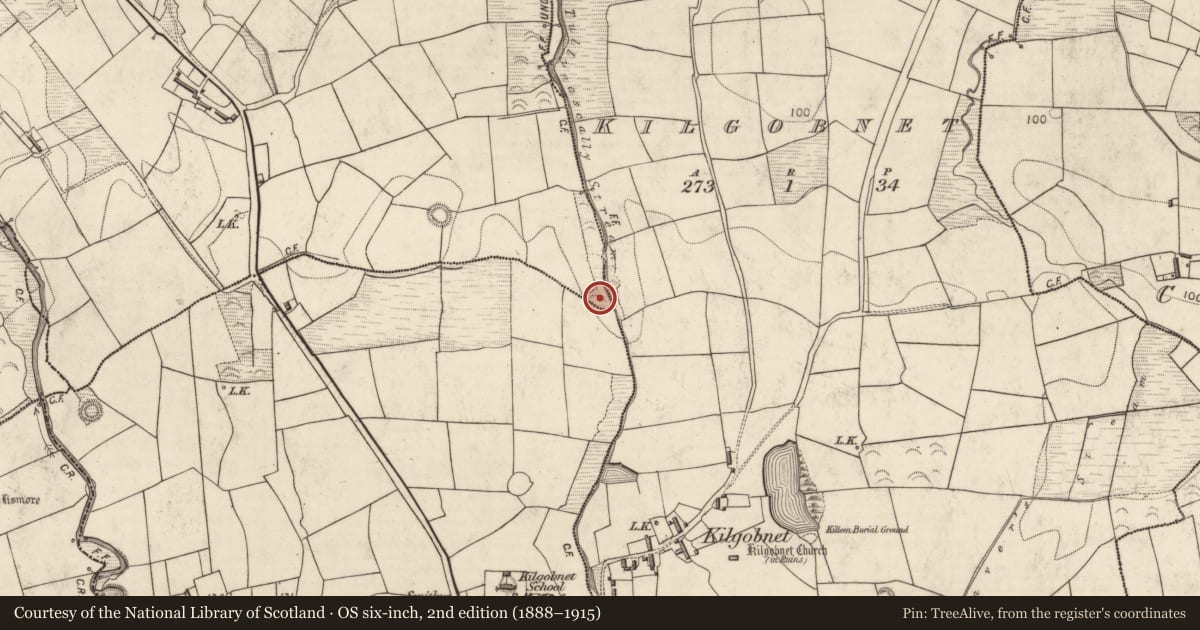 Ordnance Survey six-inch map, 2nd edition (1888–1915) covering the location of Fulacht fia, Brookhill, County Kerry, with a pin at the register's coordinates