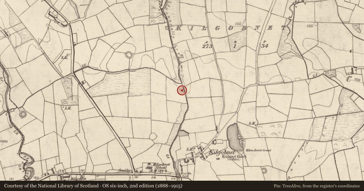Ordnance Survey six-inch map, 2nd edition (1888–1915) covering the location of Fulacht fia, Cappagh (Dunkerron North By., Killoglin Par.), County Kerry, with a pin at the register's coordinates