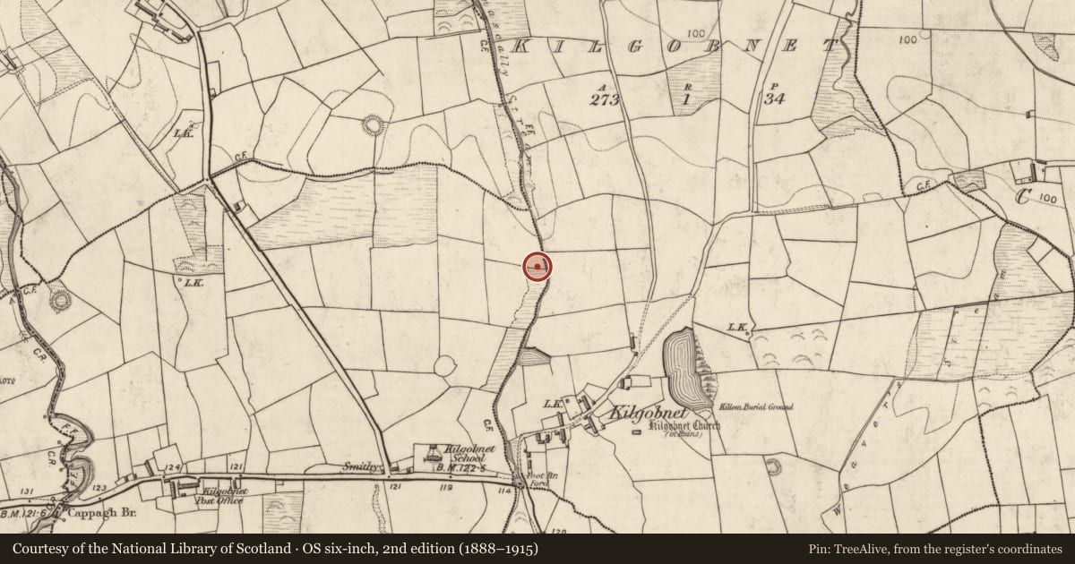 Ordnance Survey six-inch map, 2nd edition (1888–1915) covering the location of Fulacht fia, Cappagh (Dunkerron North By., Killoglin Par.), County Kerry, with a pin at the register's coordinates