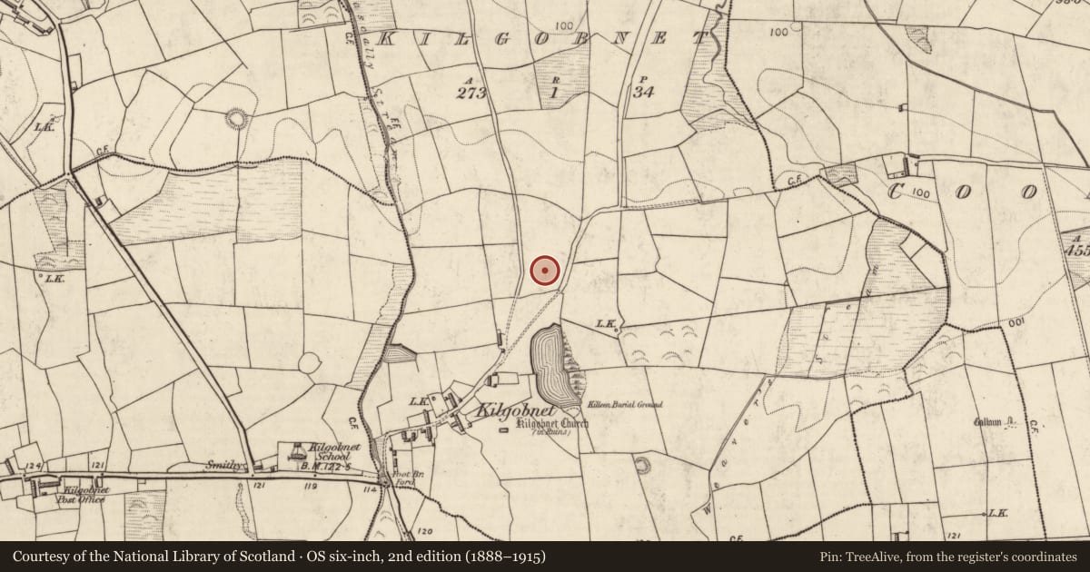 Ordnance Survey six-inch map, 2nd edition (1888–1915) covering the location of Standing stone, Kilgobnet, County Kerry, with a pin at the register's coordinates