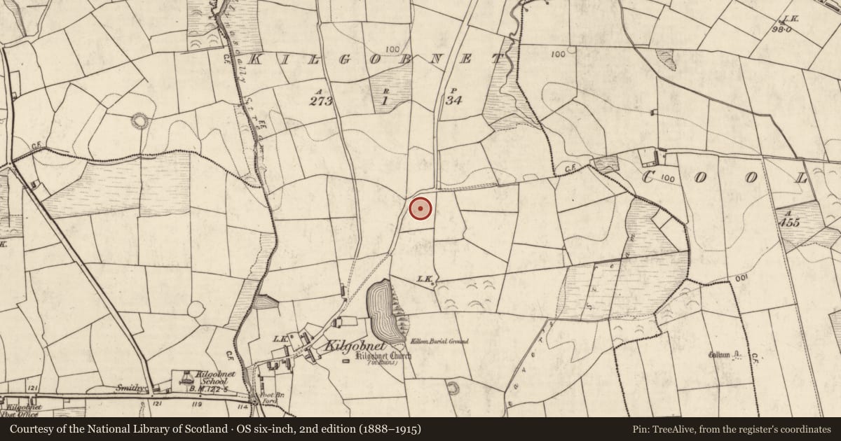 Ordnance Survey six-inch map, 2nd edition (1888–1915) covering the location of Standing stone, Kilgobnet, County Kerry, with a pin at the register's coordinates
