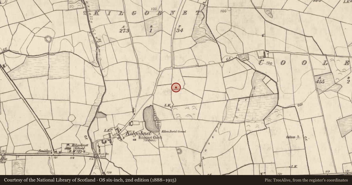 Ordnance Survey six-inch map, 2nd edition (1888–1915) covering the location of Standing stone, Kilgobnet, County Kerry, with a pin at the register's coordinates