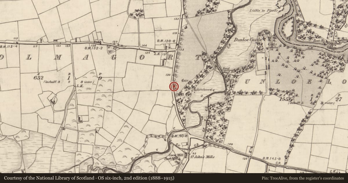Ordnance Survey six-inch map, 2nd edition (1888–1915) covering the location of Ogham stone (present location), Coolmagort, County Kerry, with a pin at the register's coordinates
