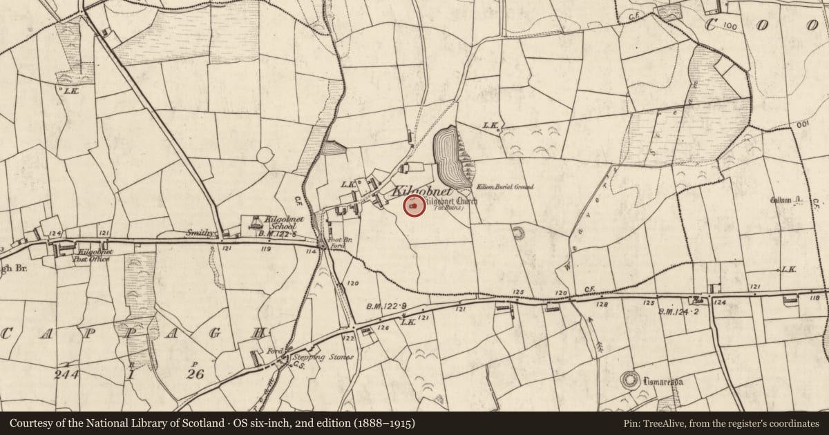 Ordnance Survey six-inch map, 2nd edition (1888–1915) covering the location of Decorated stone, Kilgobnet, County Kerry, with a pin at the register's coordinates
