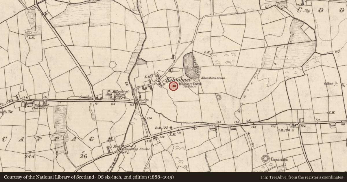 Ordnance Survey six-inch map, 2nd edition (1888–1915) covering the location of Cross-slab, Kilgobnet, County Kerry, with a pin at the register's coordinates