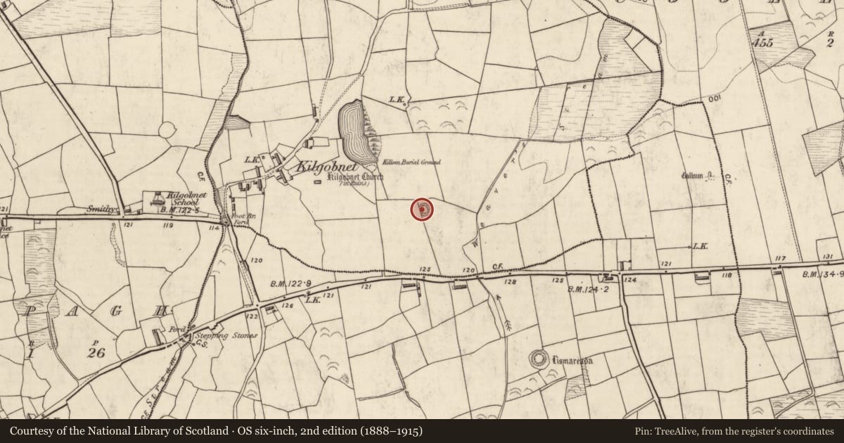 Ordnance Survey six-inch map, 2nd edition (1888–1915) covering the location of Ringfort - rath, Kilgobnet, County Kerry, with a pin at the register's coordinates