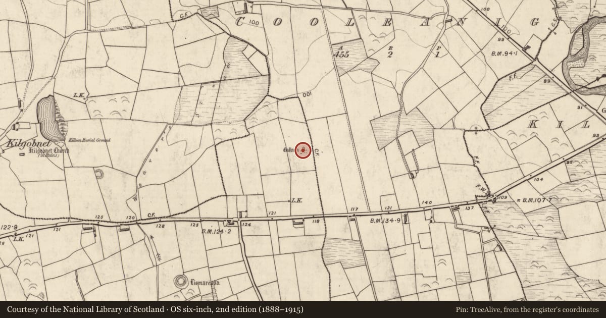 Ordnance Survey six-inch map, 2nd edition (1888–1915) covering the location of Standing stone, Shanacloon, County Kerry, with a pin at the register's coordinates