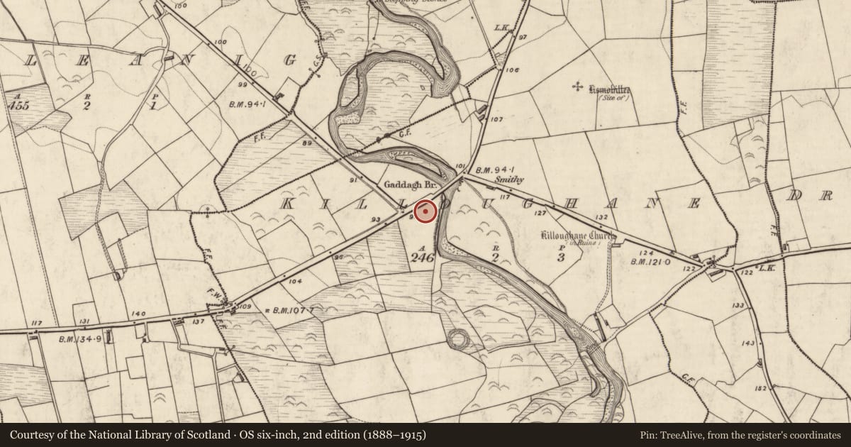 Ordnance Survey six-inch map, 2nd edition (1888–1915) covering the location of Fulacht fia, Killoughane, County Kerry, with a pin at the register's coordinates