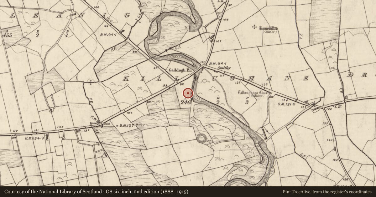 Ordnance Survey six-inch map, 2nd edition (1888–1915) covering the location of Fulacht fia, Killoughane, County Kerry, with a pin at the register's coordinates