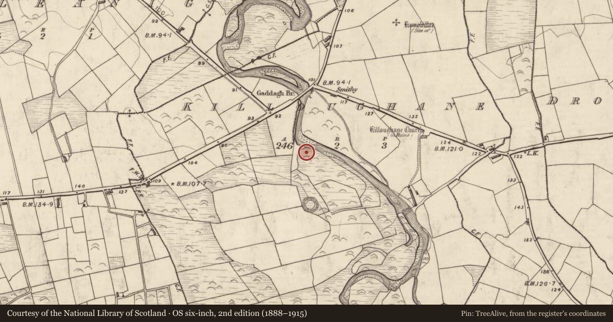 Ordnance Survey six-inch map, 2nd edition (1888–1915) covering the location of Fulacht fia, Killoughane, County Kerry, with a pin at the register's coordinates