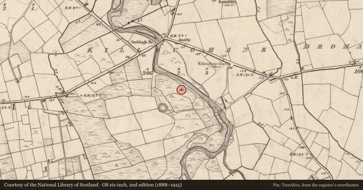 Ordnance Survey six-inch map, 2nd edition (1888–1915) covering the location of Fulacht fia, Killoughane, County Kerry, with a pin at the register's coordinates