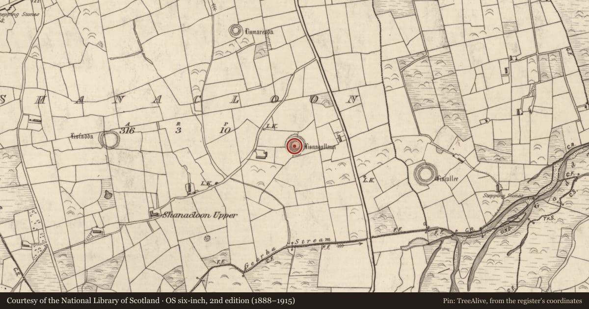 Ordnance Survey six-inch map, 2nd edition (1888–1915) covering the location of Ringfort - rath, Shanacloon, County Kerry, with a pin at the register's coordinates