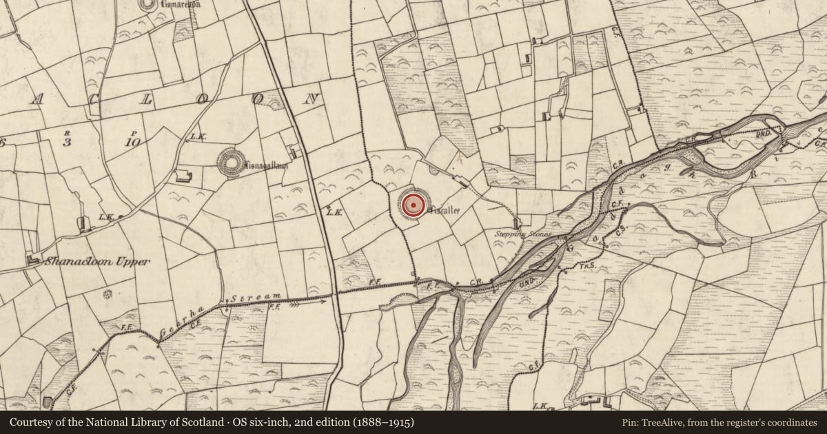 Ordnance Survey six-inch map, 2nd edition (1888–1915) covering the location of Ringfort - rath, Cooleanig, County Kerry, with a pin at the register's coordinates