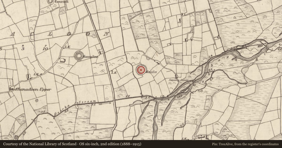 Ordnance Survey six-inch map, 2nd edition (1888–1915) covering the location of Souterrain, Cooleanig, County Kerry, with a pin at the register's coordinates