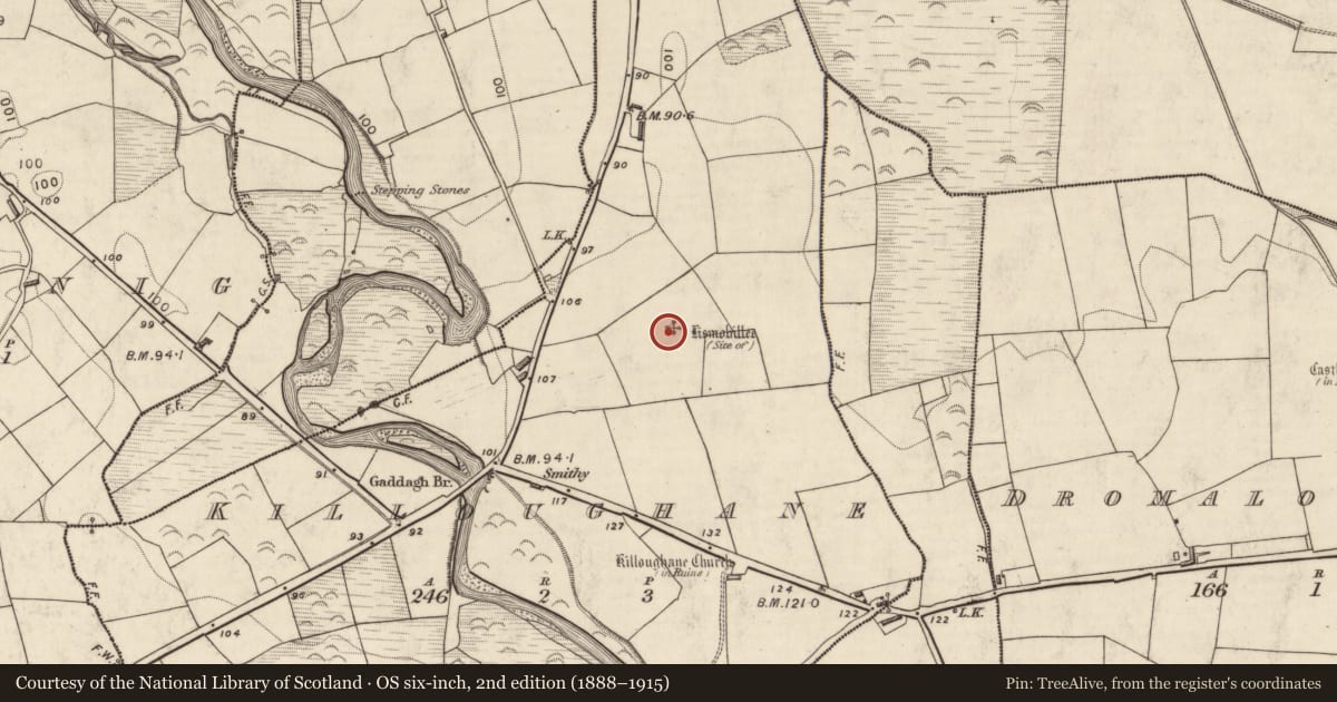 Ordnance Survey six-inch map, 2nd edition (1888–1915) covering the location of Ringfort - rath, Killoughane, County Kerry, with a pin at the register's coordinates