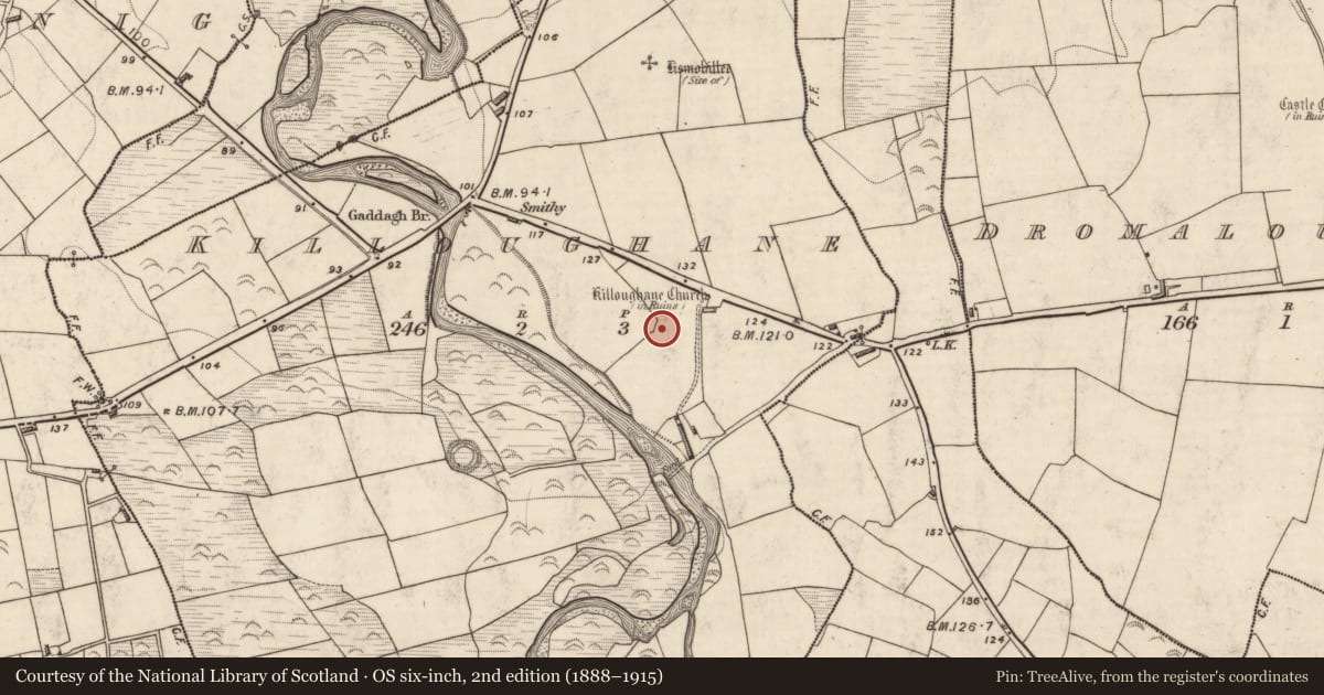 Ordnance Survey six-inch map, 2nd edition (1888–1915) covering the location of Ringfort - rath, Killoughane, County Kerry, with a pin at the register's coordinates