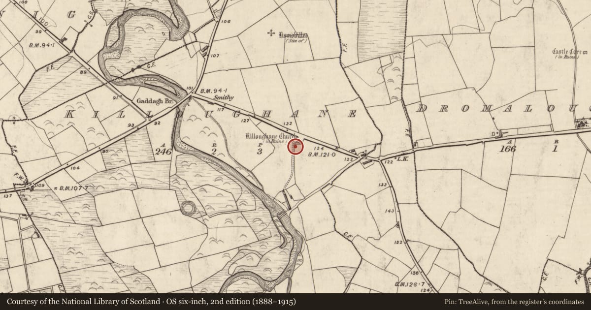 Ordnance Survey six-inch map, 2nd edition (1888–1915) covering the location of Children's burial ground, Killoughane, County Kerry, with a pin at the register's coordinates