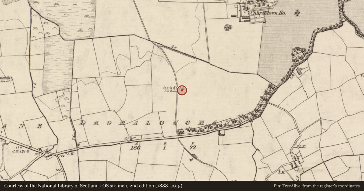 Ordnance Survey six-inch map, 2nd edition (1888–1915) covering the location of Castle - tower house, Dromaloughane, County Kerry, with a pin at the register's coordinates