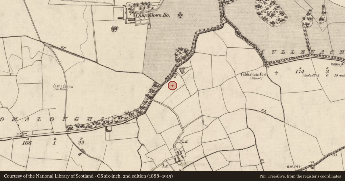 Ordnance Survey six-inch map, 2nd edition (1888–1915) covering the location of Standing stone, Cappaganneen, County Kerry, with a pin at the register's coordinates