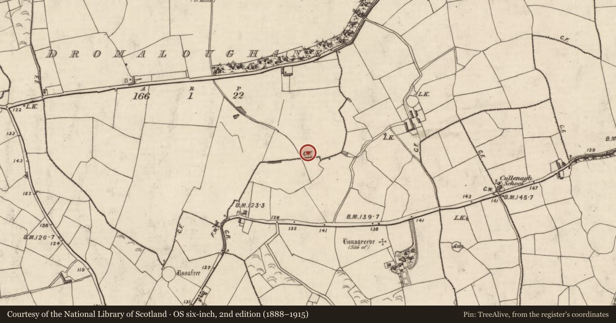 Ordnance Survey six-inch map, 2nd edition (1888–1915) covering the location of Enclosure, Dromaloughane, County Kerry, with a pin at the register's coordinates
