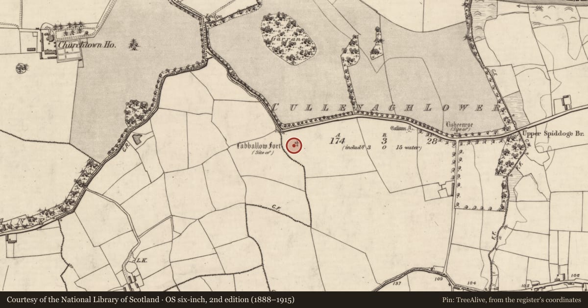 Ordnance Survey six-inch map, 2nd edition (1888–1915) covering the location of Ringfort - rath, Cullenagh Lower, County Kerry, with a pin at the register's coordinates