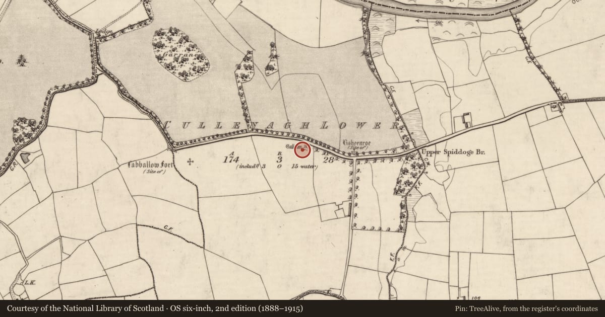 Ordnance Survey six-inch map, 2nd edition (1888–1915) covering the location of Standing stone, Cullenagh Lower, County Kerry, with a pin at the register's coordinates