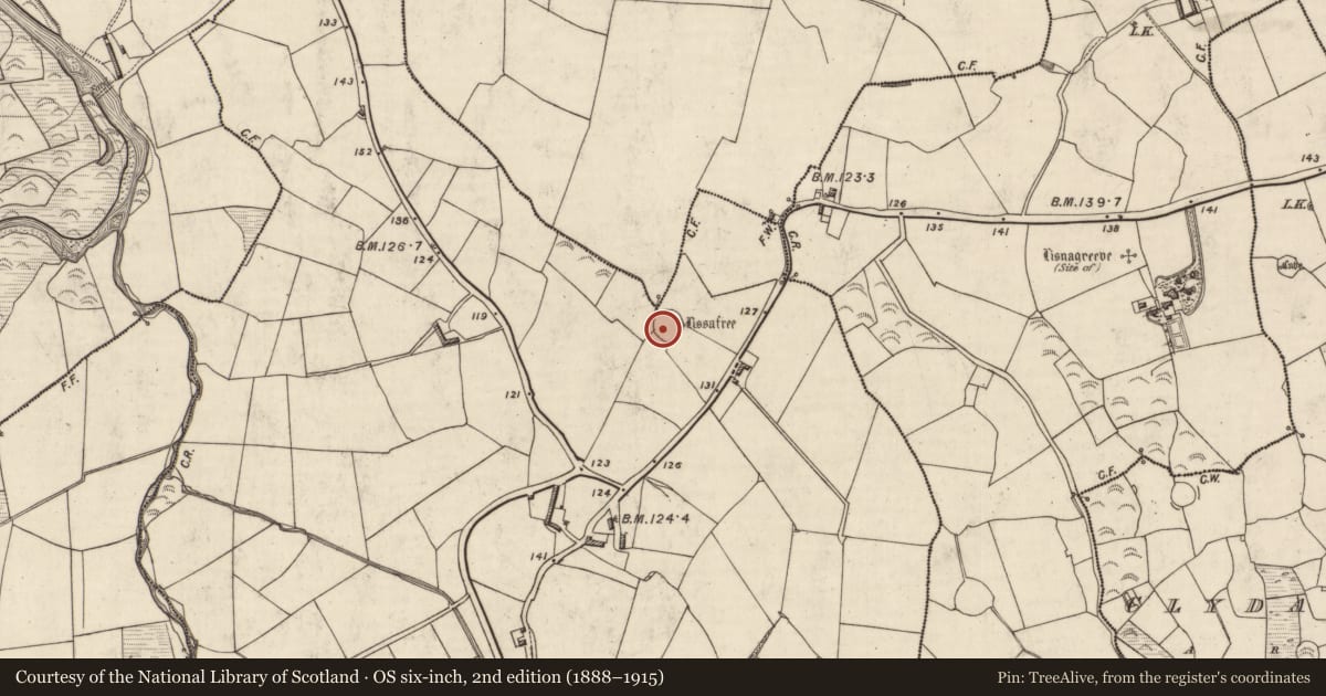Ordnance Survey six-inch map, 2nd edition (1888–1915) covering the location of Ringfort - rath, Carhoonahone, County Kerry, with a pin at the register's coordinates