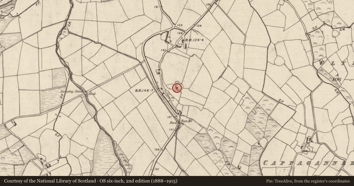 Ordnance Survey six-inch map, 2nd edition (1888–1915) covering the location of Ringfort - rath, Carhoonahone, County Kerry, with a pin at the register's coordinates