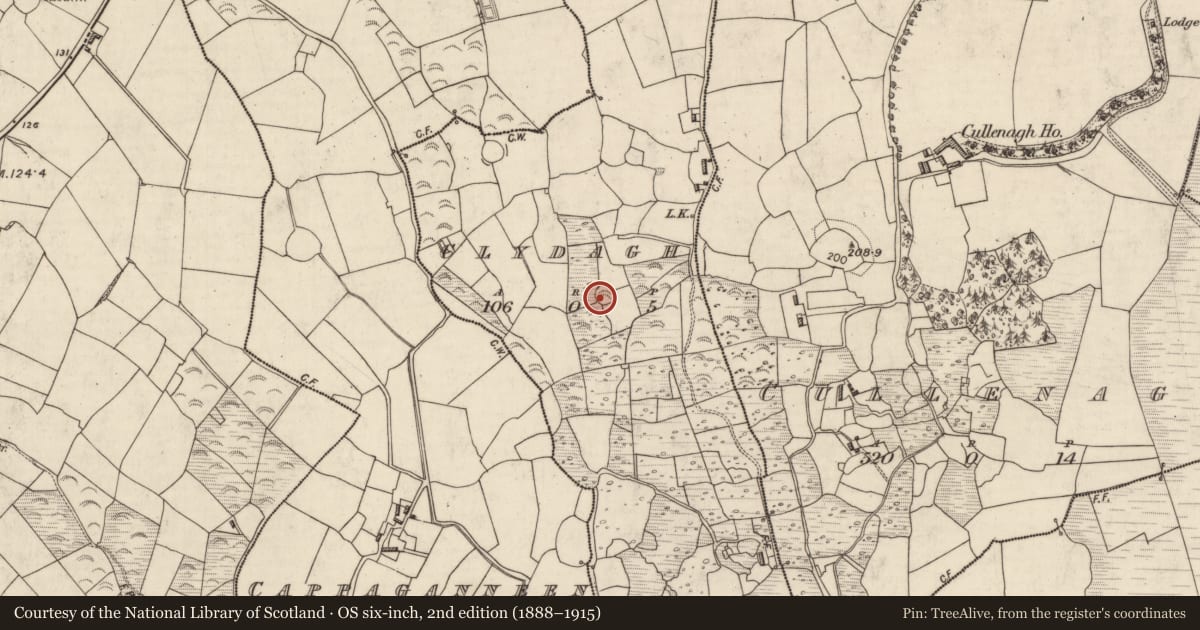 Ordnance Survey six-inch map, 2nd edition (1888–1915) covering the location of Ringfort - rath, Clydagh, County Kerry, with a pin at the register's coordinates