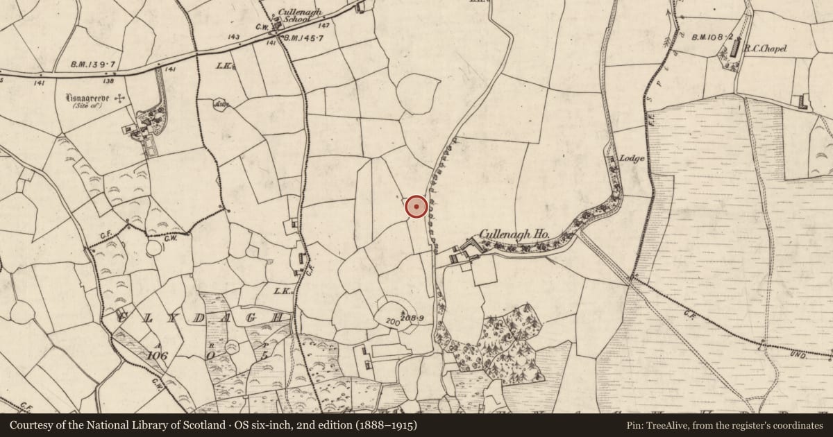 Ordnance Survey six-inch map, 2nd edition (1888–1915) covering the location of Standing stone, Cullenagh Upper, County Kerry, with a pin at the register's coordinates