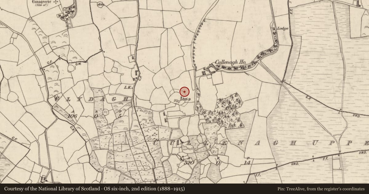 Ordnance Survey six-inch map, 2nd edition (1888–1915) covering the location of Standing stone, Cullenagh Upper, County Kerry, with a pin at the register's coordinates