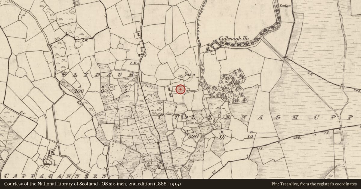 Ordnance Survey six-inch map, 2nd edition (1888–1915) covering the location of Standing stone, Cullenagh Upper, County Kerry, with a pin at the register's coordinates