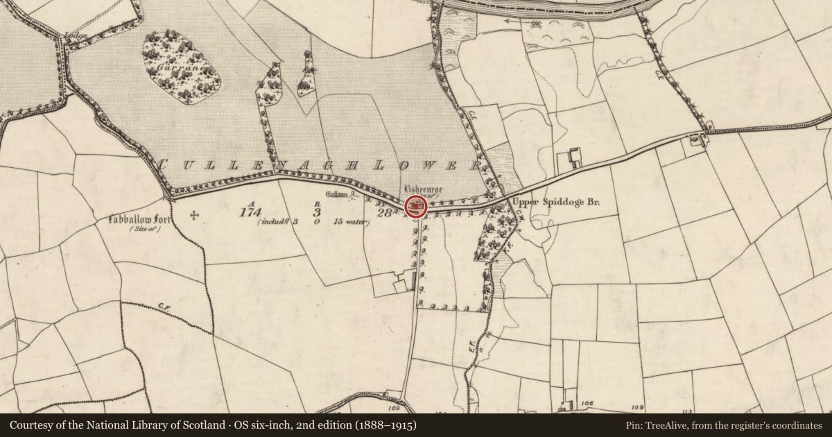 Ordnance Survey six-inch map, 2nd edition (1888–1915) covering the location of Ringfort - rath, Cullenagh Lower, County Kerry, with a pin at the register's coordinates