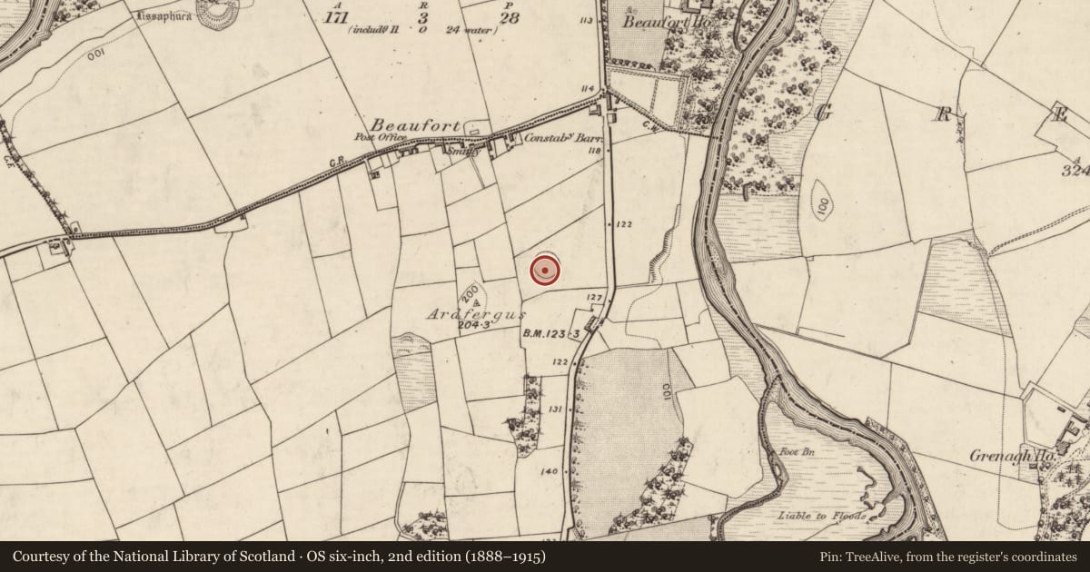 Ordnance Survey six-inch map, 2nd edition (1888–1915) covering the location of Ringfort - rath, Coolmagort, County Kerry, with a pin at the register's coordinates