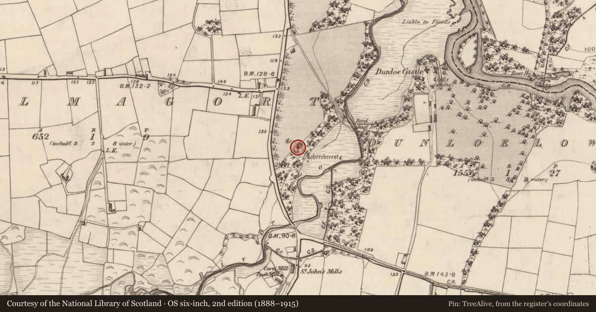 Ordnance Survey six-inch map, 2nd edition (1888–1915) covering the location of Burial, Coolmagort, County Kerry, with a pin at the register's coordinates