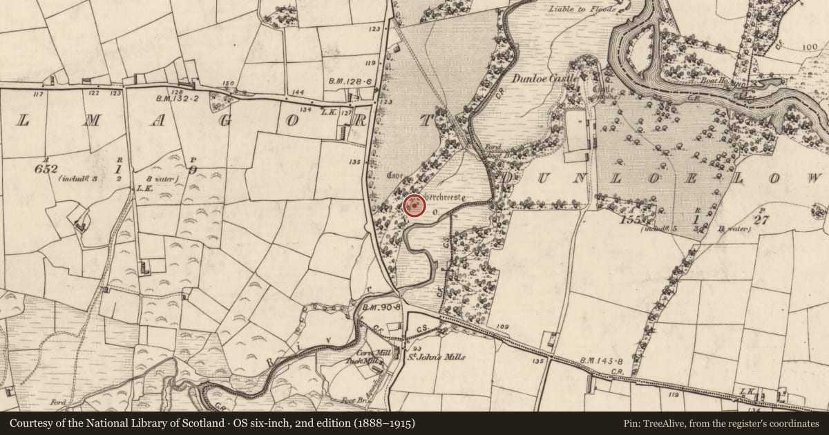 Ordnance Survey six-inch map, 2nd edition (1888–1915) covering the location of Cross-slab, Coolmagort, County Kerry, with a pin at the register's coordinates