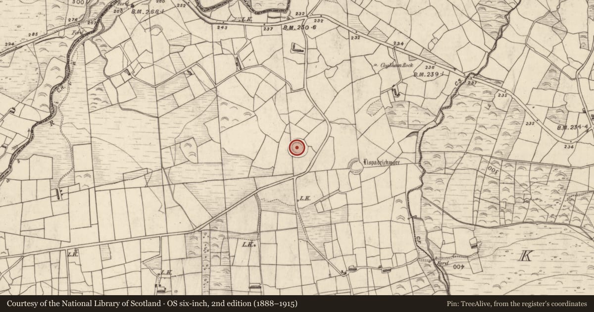 Ordnance Survey six-inch map, 2nd edition (1888–1915) covering the location of Ringfort - rath, Ballyledder, County Kerry, with a pin at the register's coordinates