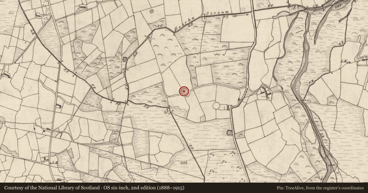 Ordnance Survey six-inch map, 2nd edition (1888–1915) covering the location of Ringfort - rath, Gearha, County Kerry, with a pin at the register's coordinates
