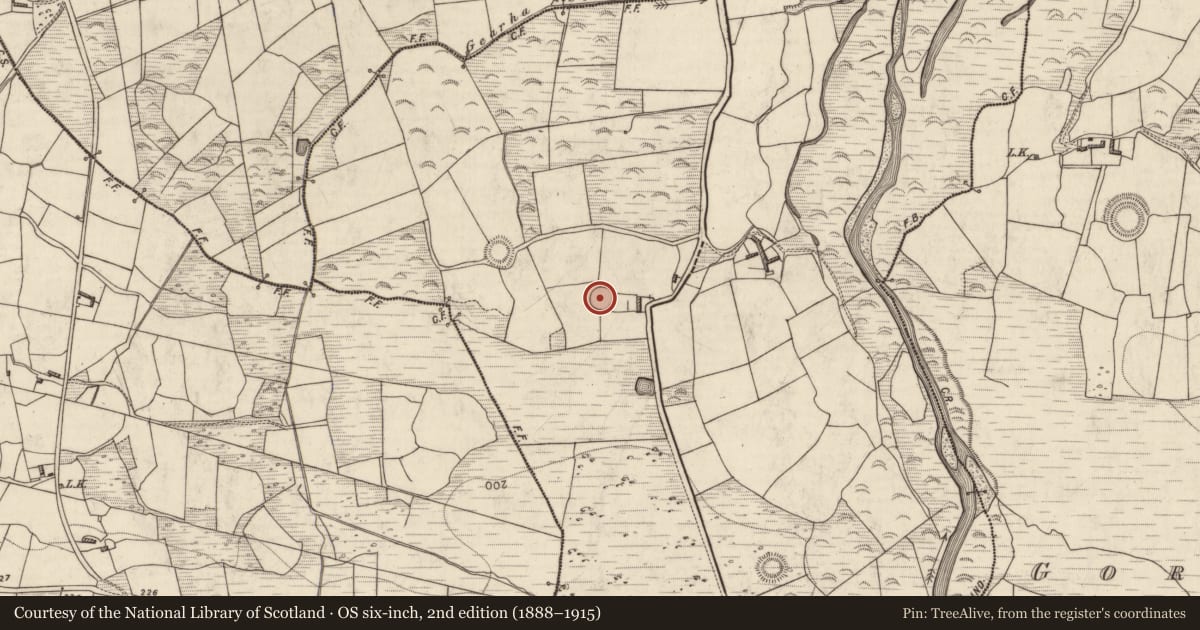 Ordnance Survey six-inch map, 2nd edition (1888–1915) covering the location of Ringfort - rath, Gearha, County Kerry, with a pin at the register's coordinates