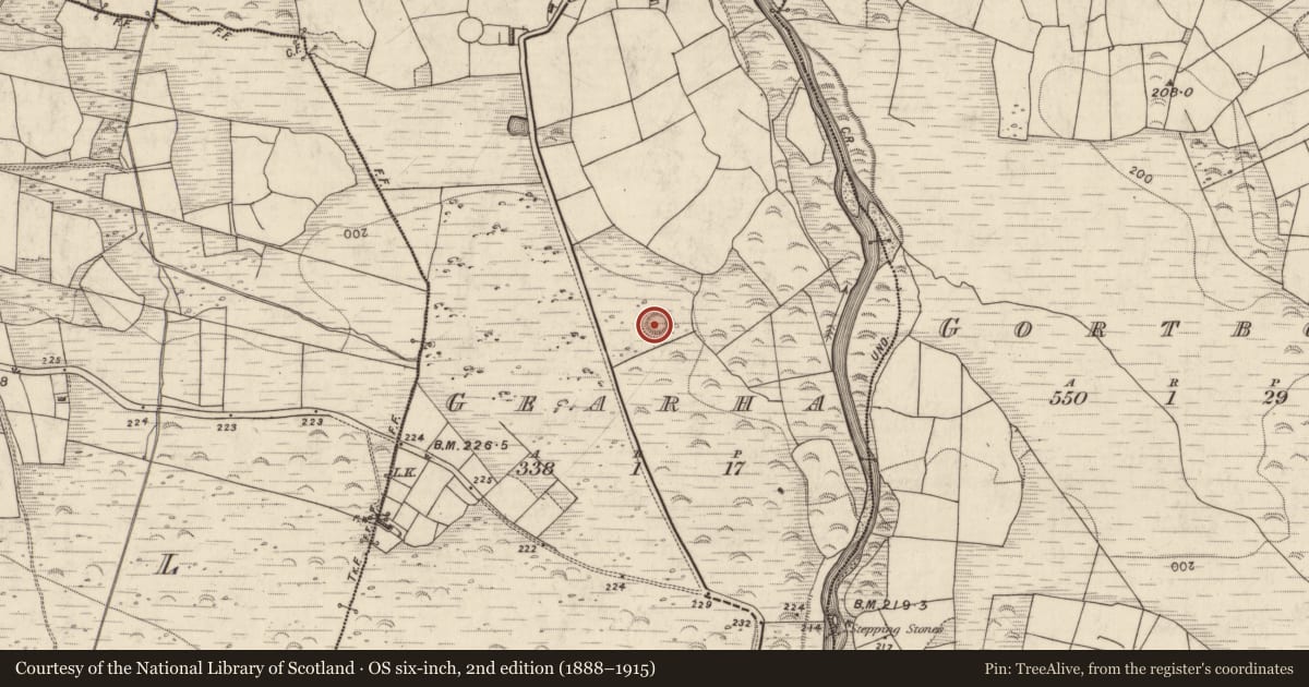 Ordnance Survey six-inch map, 2nd edition (1888–1915) covering the location of Hut site, Gearha, County Kerry, with a pin at the register's coordinates