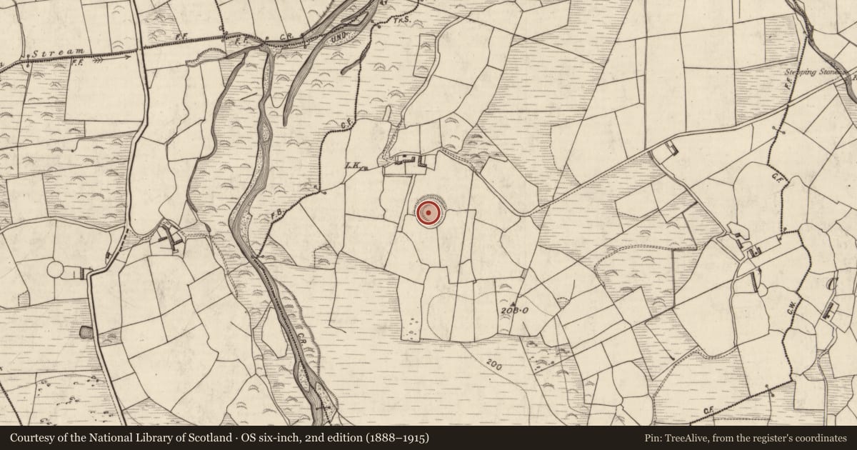 Ordnance Survey six-inch map, 2nd edition (1888–1915) covering the location of Ringfort - rath, Gortboy, County Kerry, with a pin at the register's coordinates