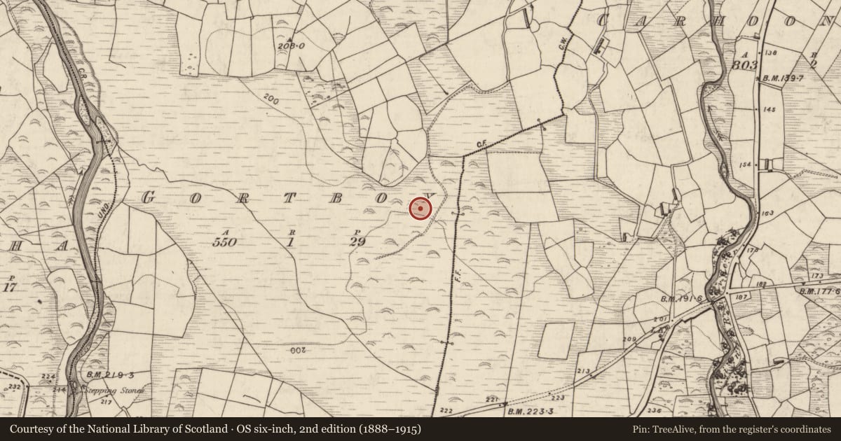 Ordnance Survey six-inch map, 2nd edition (1888–1915) covering the location of Rock art, Gortboy, County Kerry, with a pin at the register's coordinates