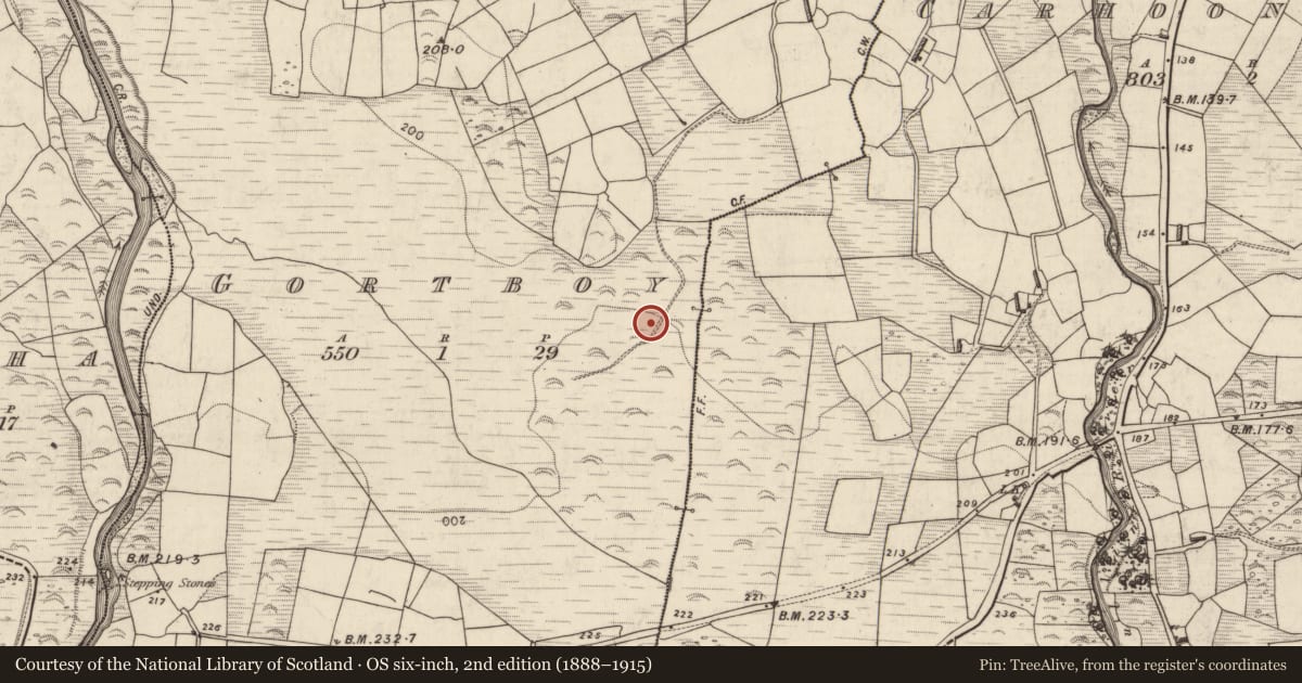 Ordnance Survey six-inch map, 2nd edition (1888–1915) covering the location of Hut site, Gortboy, County Kerry, with a pin at the register's coordinates