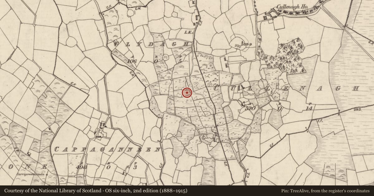 Ordnance Survey six-inch map, 2nd edition (1888–1915) covering the location of Standing stone, Clydagh, County Kerry, with a pin at the register's coordinates