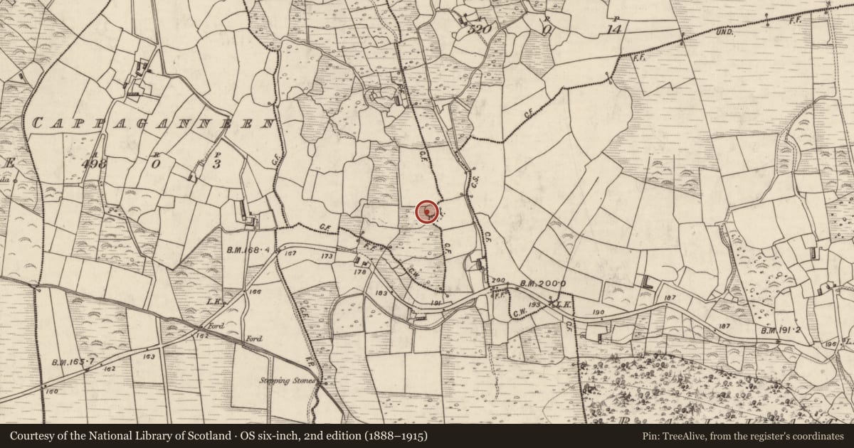 Ordnance Survey six-inch map, 2nd edition (1888–1915) covering the location of Ringfort - rath, Clydagh, County Kerry, with a pin at the register's coordinates