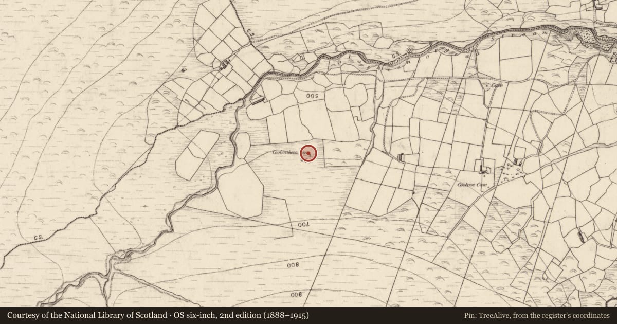 Ordnance Survey six-inch map, 2nd edition (1888–1915) covering the location of Souterrain, Coolroe, County Kerry, with a pin at the register's coordinates